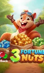 3 Fortune Nuts
