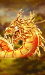 Angry Dragons